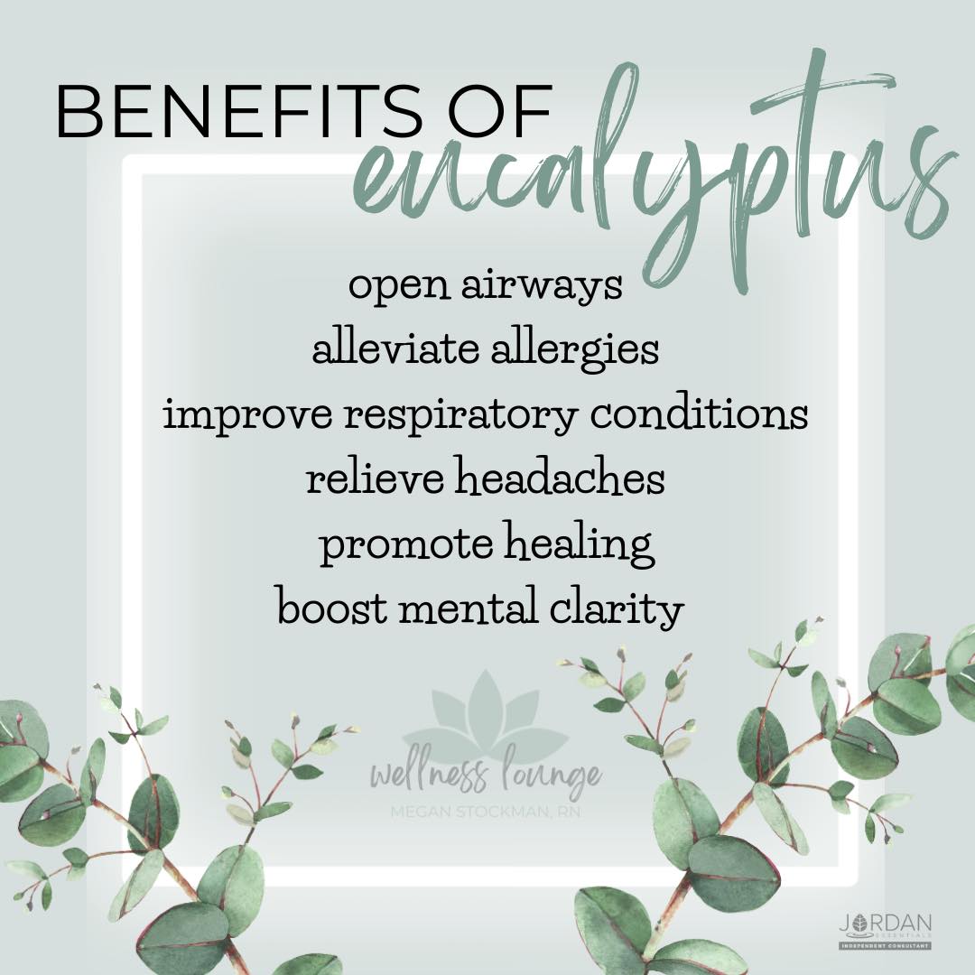 ways to benefits from eucalyptus, easy ways to use eucalyptus essential oil